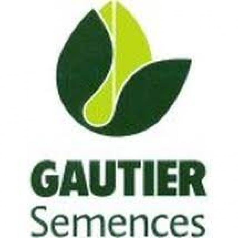Gautier Semences