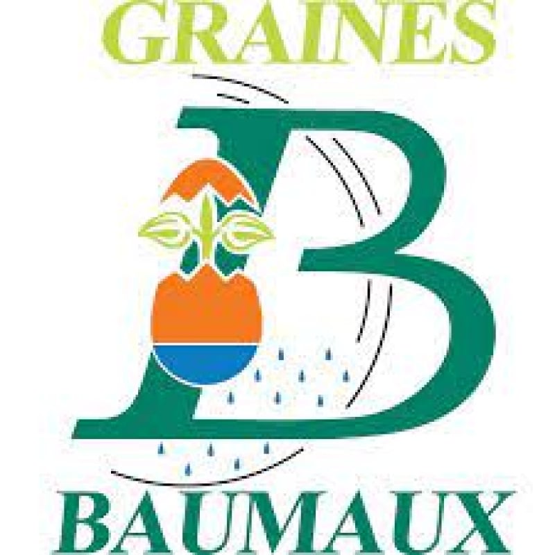 Graines Baumaux