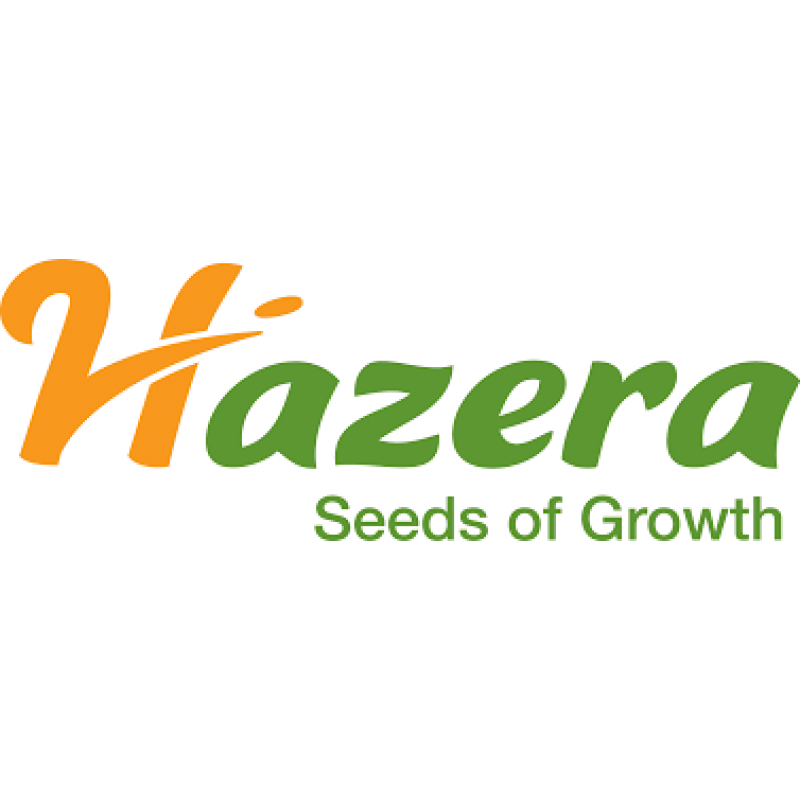 Hazera