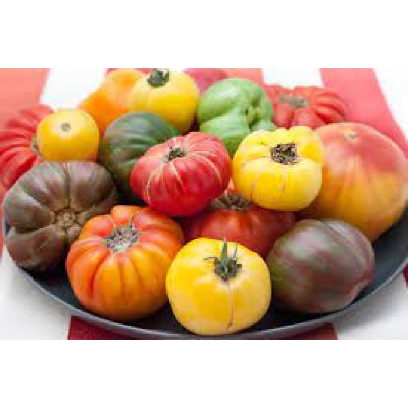 Heirloom Tomatoes