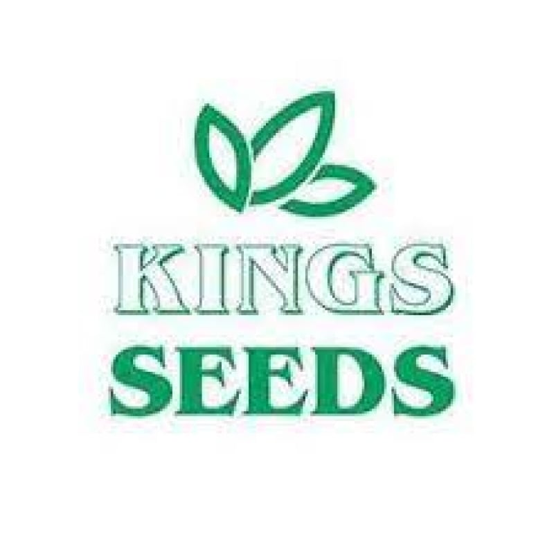 Kings Seeds 2