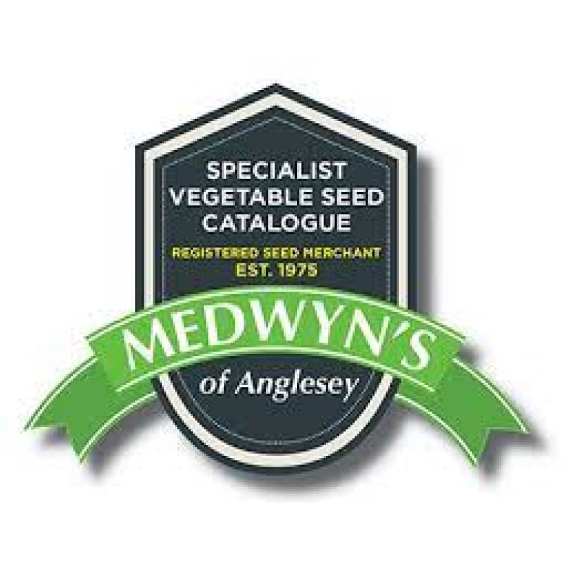 Medwyns 21