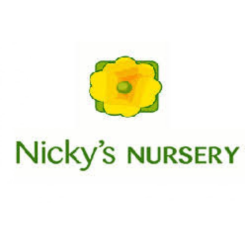 Nickys Nursery