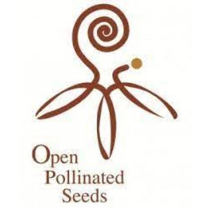 Open Pollinated Seeds