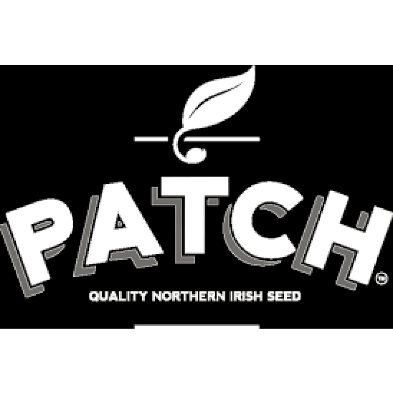 Patch