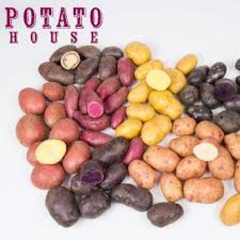 Potato House 2