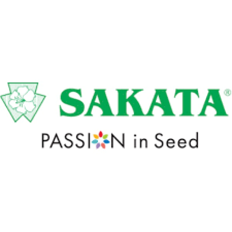 Sakata 1