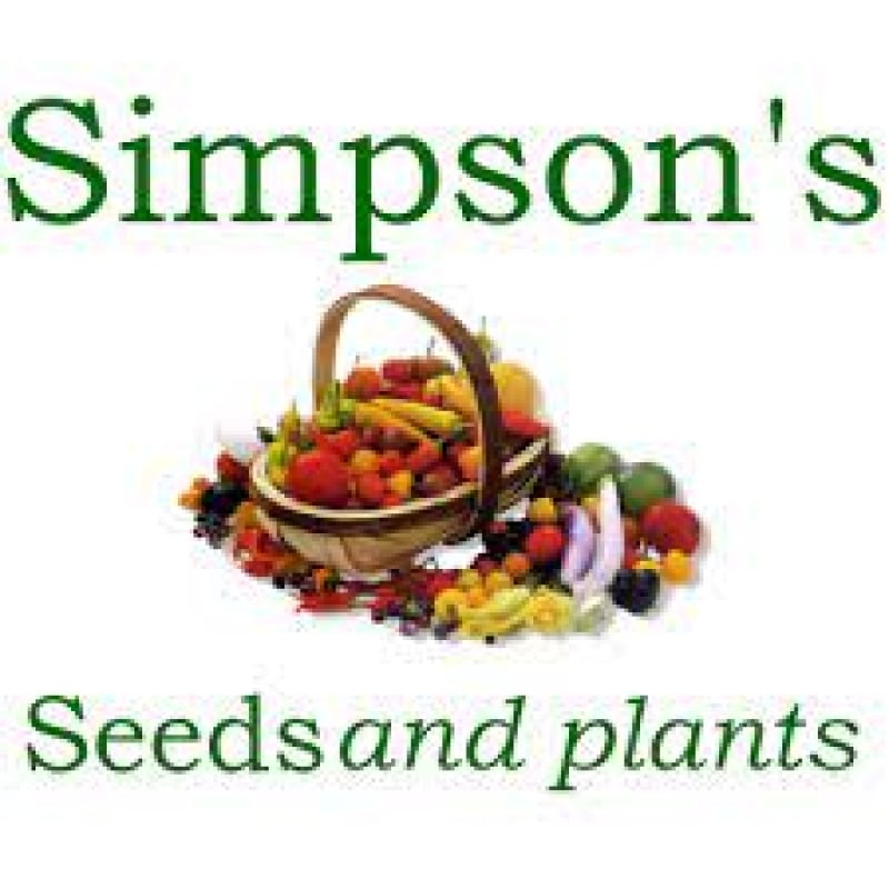 Simpsons Seeds 2