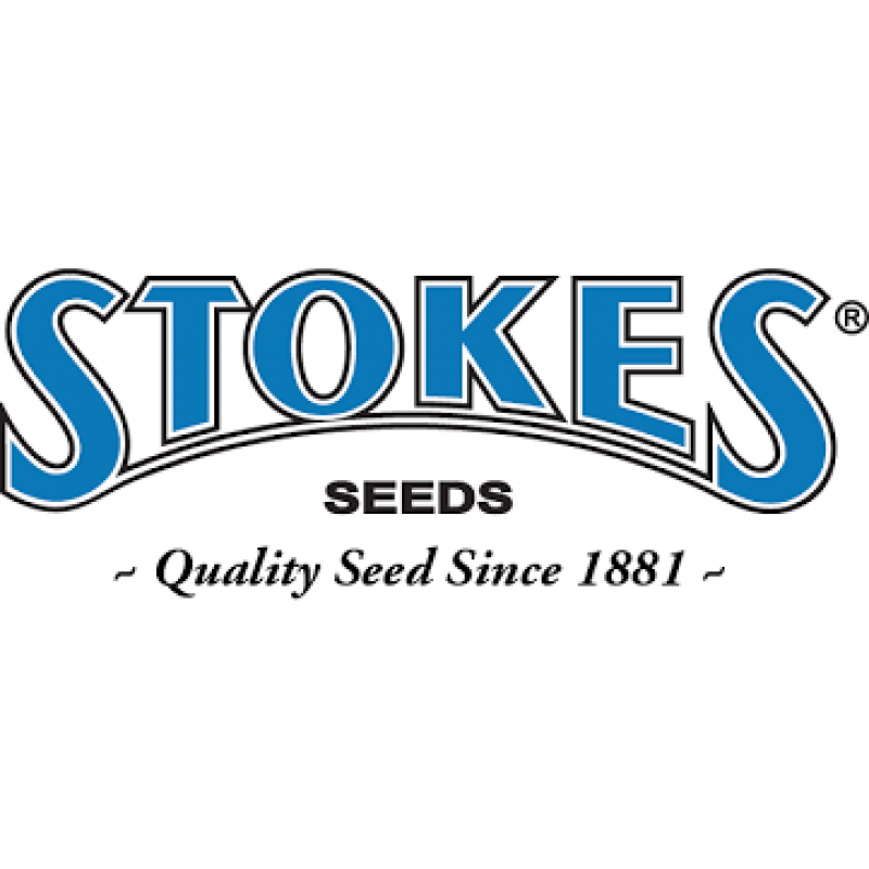 Stokes Seeds