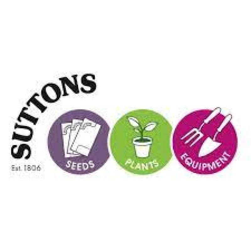 Suttons 2