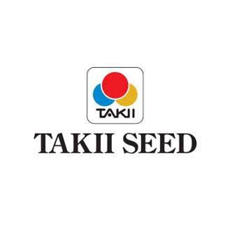 Takii
