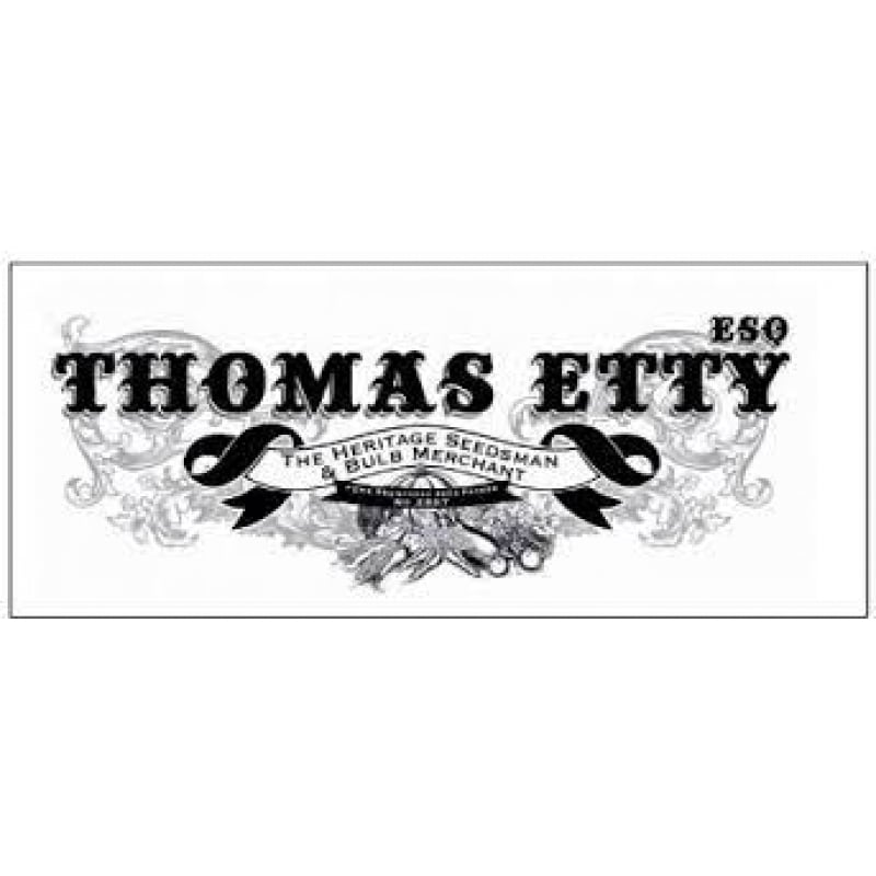 Thomas Etty