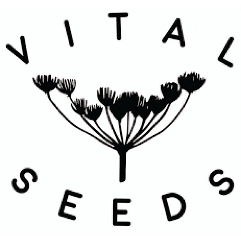 Vital Seeds