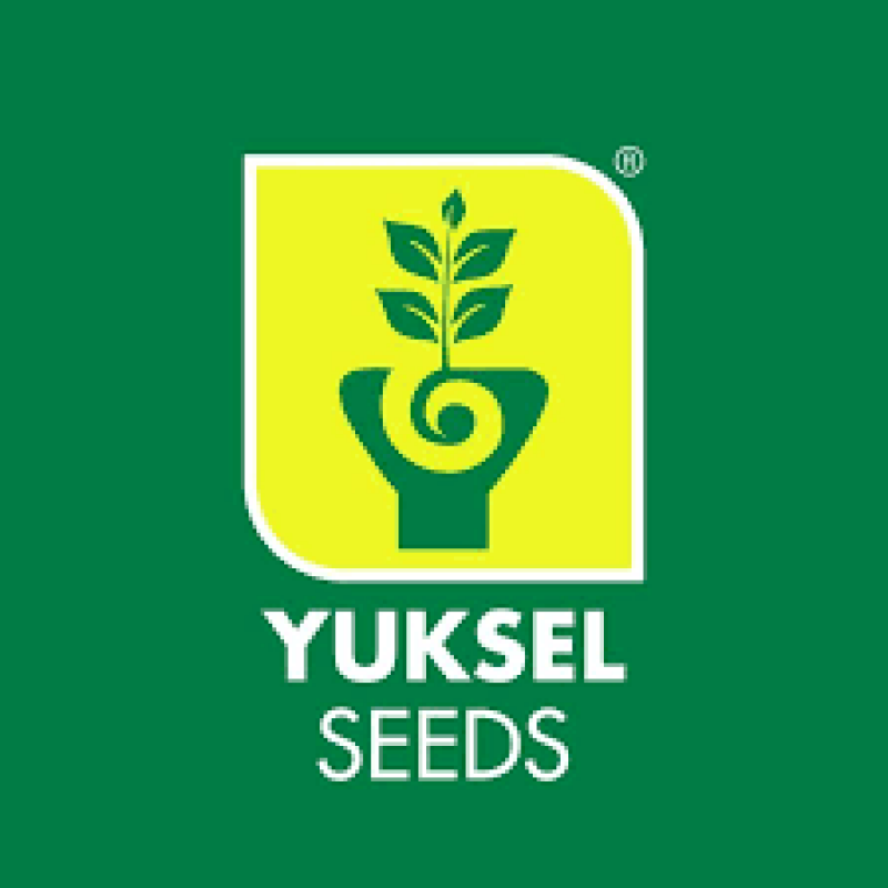 Yuksel Seeds