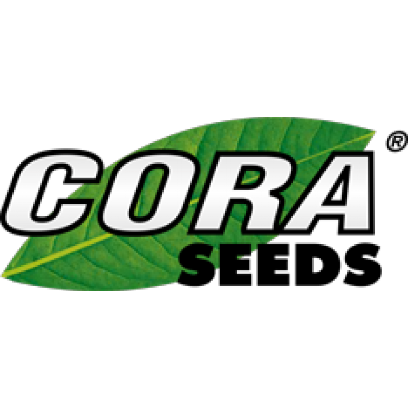 cora 234 100