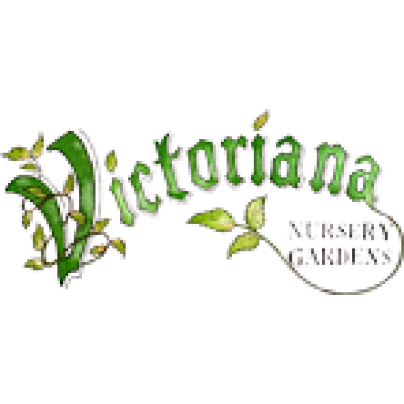 victoriana logo