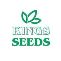 1a Kings Seeds2