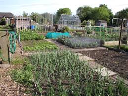 Allotment