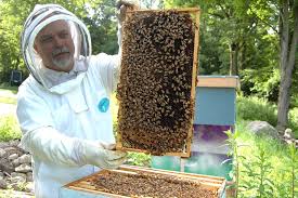 Bee Keeper