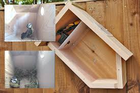 Bird Box Camera