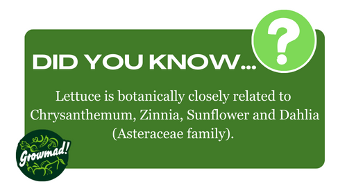 DID YOU KNOW 5