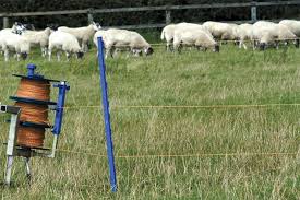Electric Fencing