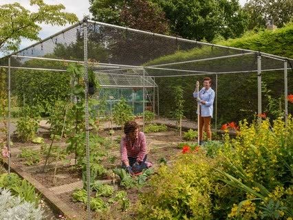 Fruit Cage2
