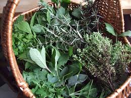 Herbs