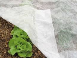 Horticultural Fleece