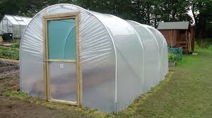 Polytunnel2