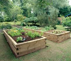 Raised Beds2