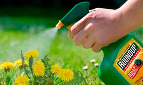 Roundup