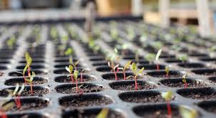 Seed Sowing Module3