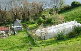 Smallholding 2