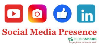 Social Media Presence