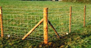 Stock Fencing