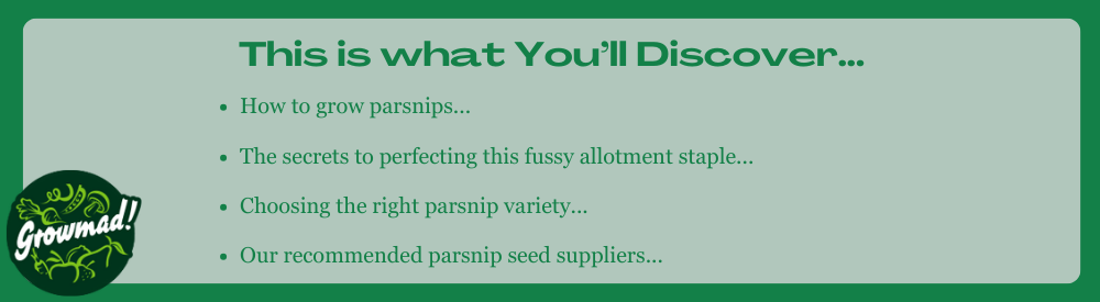 This is what Youll Discover... 7