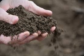 Topsoil