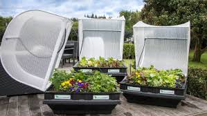 Urban Gardening
