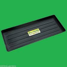 Watering Trays