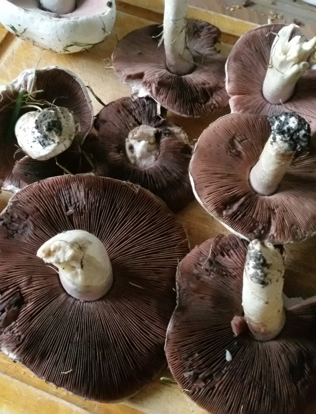 20150930 183001