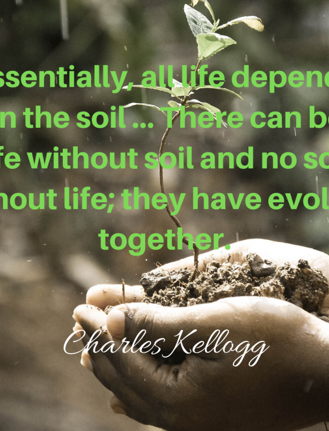 Essentially all life depends upon the soil 6... There can be no life without soil and no soil without life they have evolved together. 1