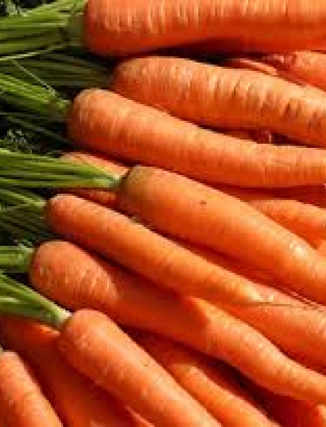 CARROTS 3 2