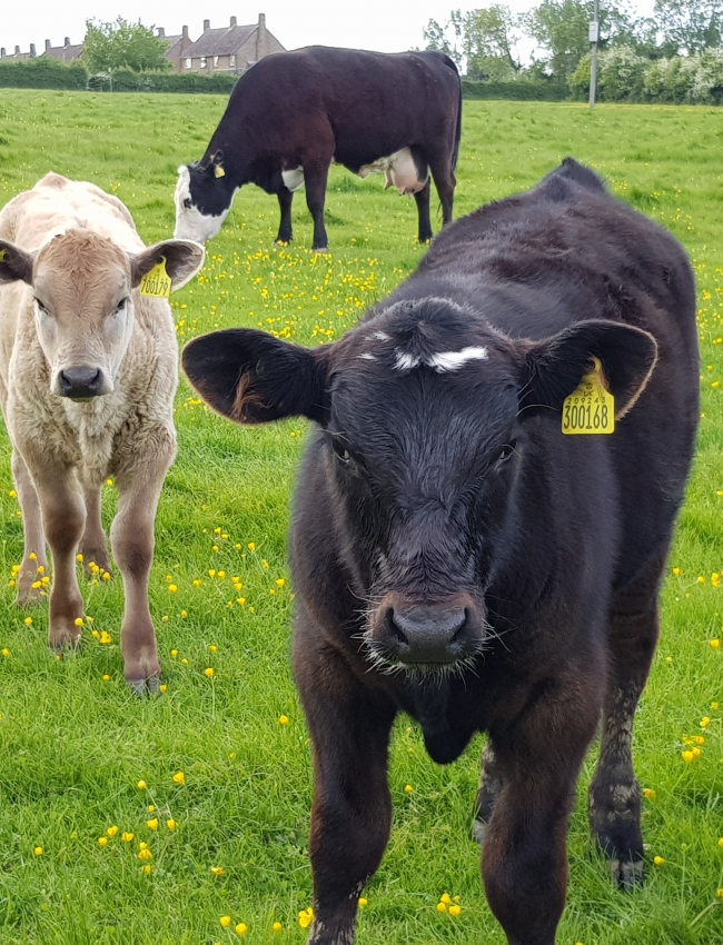 16th May 2020 4