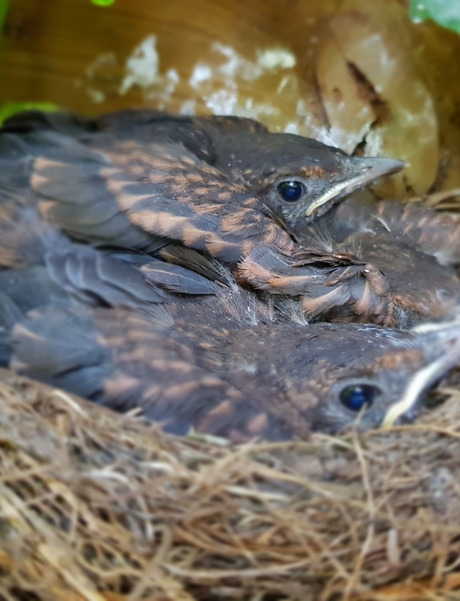 20190802 201421