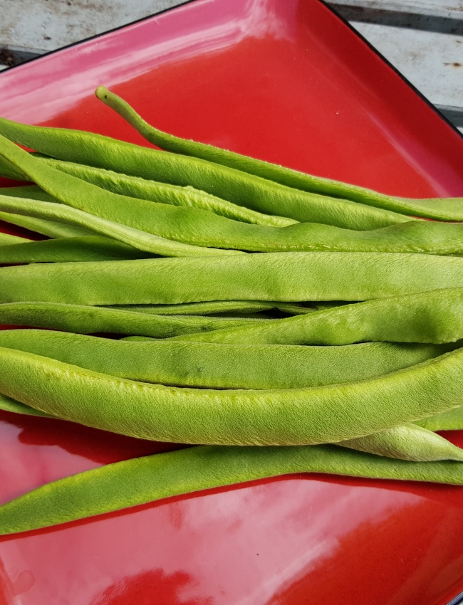 20190908-140436.jpg