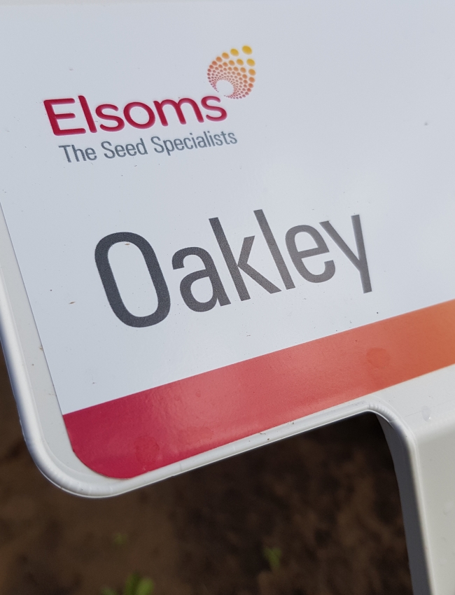 Brassica Open Days 2019 034