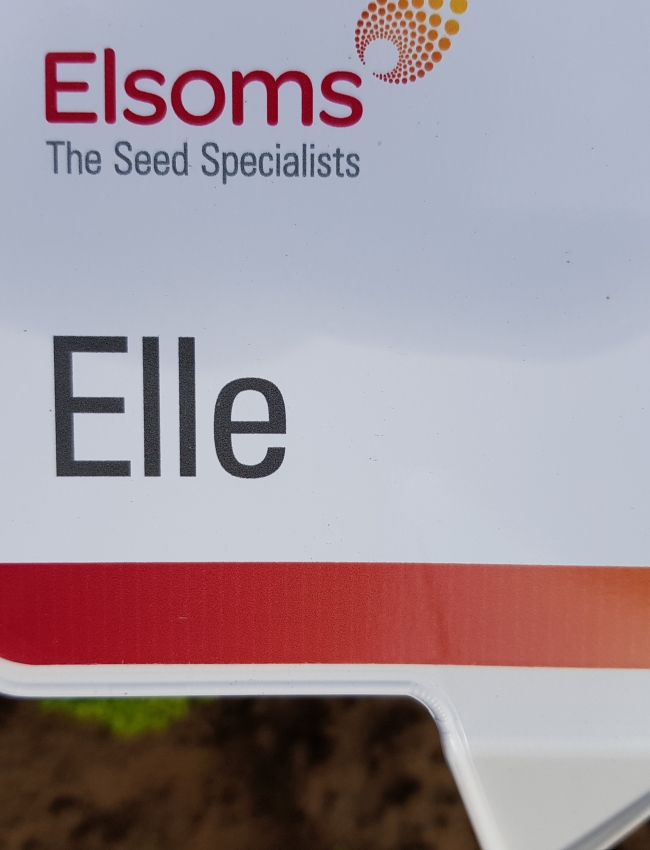 Brassica Open Days 2019 041
