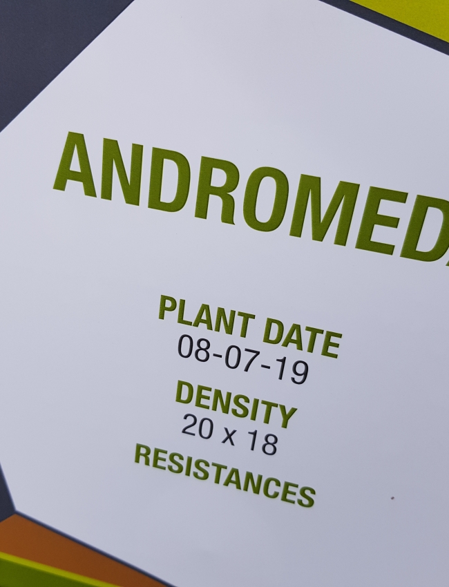 Brassica Open Days 2019 069