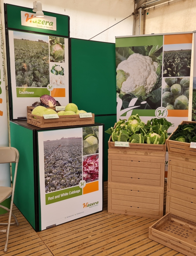 Brassica Trials 2021 135